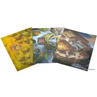 Настольная игра Мир Хобби Roll Player Adventures: Приключения в Улосе