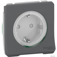 Розетка Schneider Electric Mureva Styl MUR36134