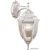 Уличный настенный светильник Arte Lamp Pegasus A3152AL-1WG