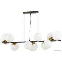 Подвесная люстра Lumion Melona 6508/10