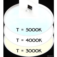 Светильник-тарелка Citilux Бейсик CL738400V