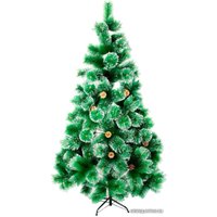 Сосна MA пушистая 3 м