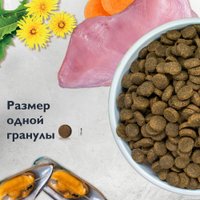 Сухой корм для собак Brit Care Dog Adult M Monoprotein Dental Health 3 кг