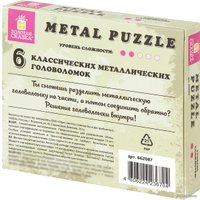 Головоломка Золотая сказка Новичок 662087