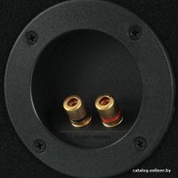 Пассивный сабвуфер + усилитель Pioneer GXT-3604B-SET-RU