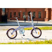 Велосипед Shulz Hopper 2025 (фиалковый)