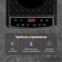 Настольная плита Zigmund & Shtain ZIP-572
