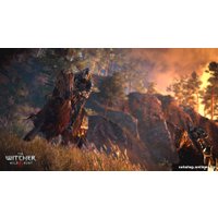 Компьютерная игра PC Ведьмак 3: Дикая Охота