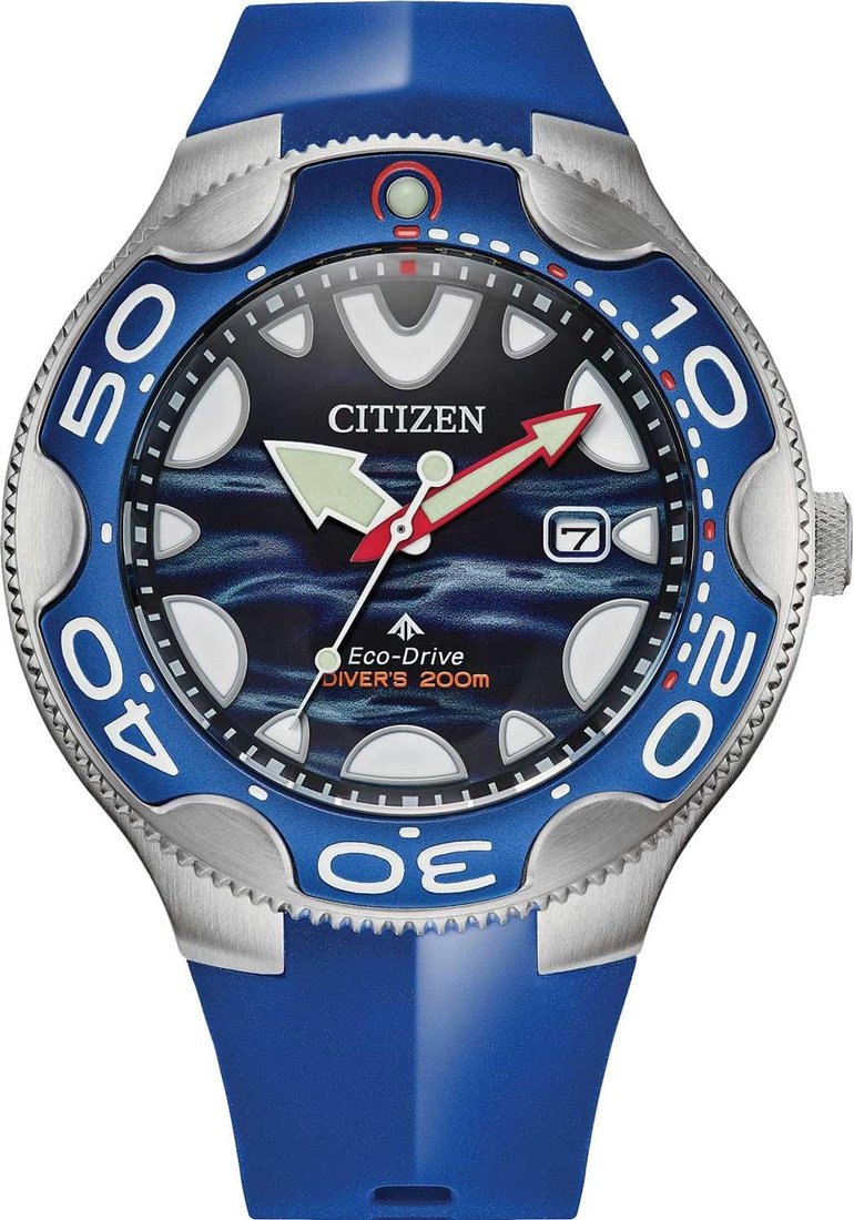 

Наручные часы Citizen Promaster BN0238-02L