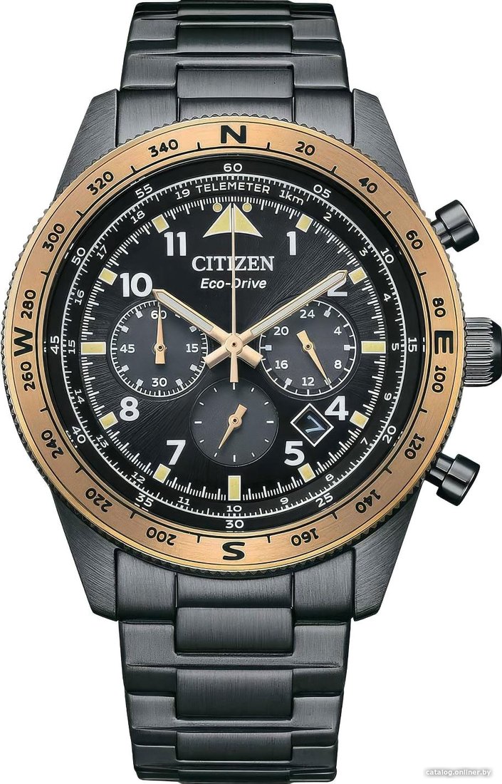 Наручные часы Citizen Eco-Drive CA4556-89E