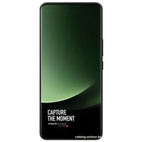 Телефон Xiaomi 13 Ultra 16GB/1TB китайская версия (оливковый зеленый)
