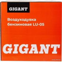 Ранцевая воздуходувка Gigant LU-05