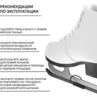 Коньки Winter Star Basic 10386676 (р. 39)