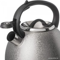 Чайник со свистком Agness Teekessel 907-254