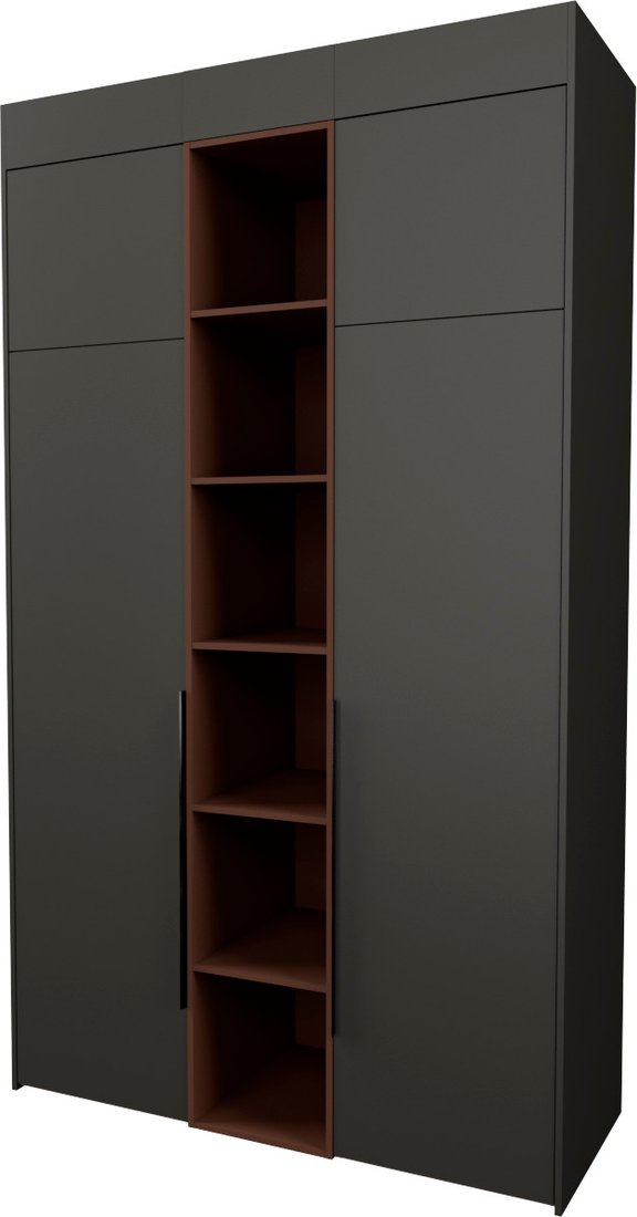 

Шкаф распашной Рэйгрупп Рэй S257-В5-WKL В5 (дуб веллингтон/кобальт/античная латунь)