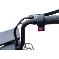 Электроскутер Smart Balance Minicooper (красный)