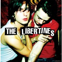  Виниловая пластинка The Libertines - The Libertines