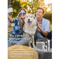 Радиоприемник Miru SR-1020
