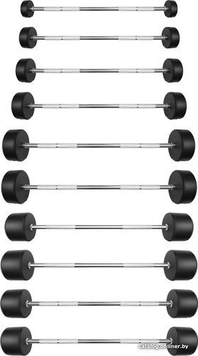 Ряд из штанг Bronze Gym BG-PA-BB-S10-55 10x(10-55 кг)