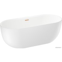 Ванна Wellsee Chic Riviera 170x76 236802004 (отдельностоящая ванна белый глянец, экран, ножки, сифон-автомат золото)