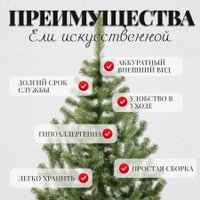 Пихта Erbis Jodla 220