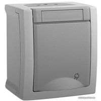 Розетка Panasonic Pacific WPTC42122GR-BY