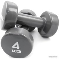 Набор гантелей PX-Sport DB107-20 2x4 кг