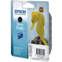 Картридж Epson EPT04814010 (C13T04814010)