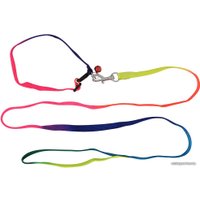 Ошейник с поводком Мультидом Радуга VL40-11 (р. S)