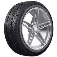 Зимние шины Triangle TW401 205/55R19 97V