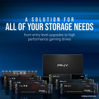 SSD PNY CS1030 500GB M280CS1030-500-RB в Могилеве