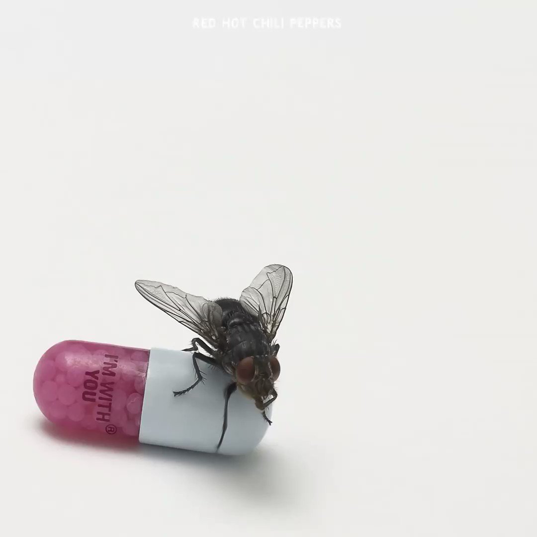 

Виниловая пластинка Red Hot Chili Peppers - I'm With You