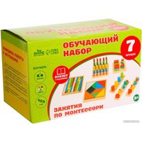 Набор развивающих игрушек Лесная мастерская Занятия по Монтессори 4366750