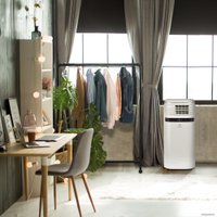 Мобильный кондиционер Electrolux Ice Column EACM-22 JK/N3 в Барановичах