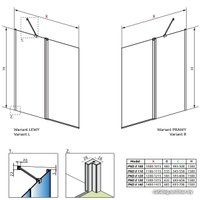 Стеклянная шторка для ванны Radaway Nes PND II 100L