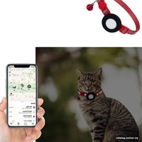 Ошейник Pet Paws с местом для трекера Apple AirTag 641000148K (красный)