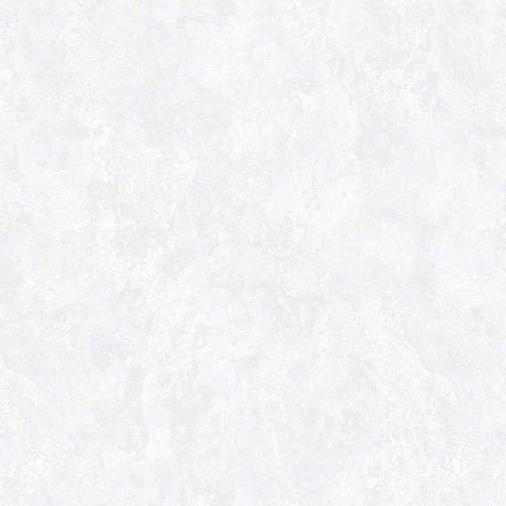 

Виниловые обои Erismann Seasons 60597-02