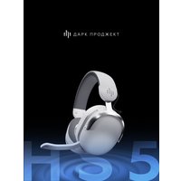 Наушники Дарк Проджект HS5 V2 (белый)