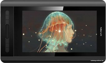 XP-Pen Artist 12