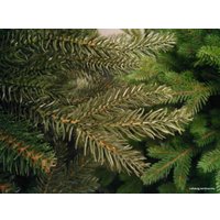 Ель GreenTerra Непал 1.8 м