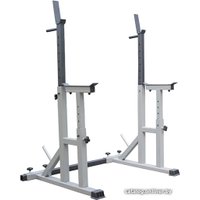 Стойка для штанги Spektr Sport Профи RK-010