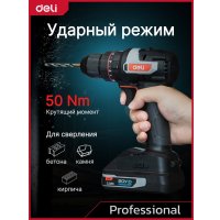 Ударная дрель-шуруповерт Deli DE-CZ20-2D2 (с 2-мя АКБ, сумка)