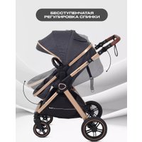 Универсальная коляска Rant Basic Roller Gold RA161 (2 в 1, grey)