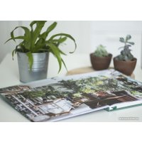 Книга издательства МИФ. Urban Jungle. Как создать уютный интерьер с помощью растений