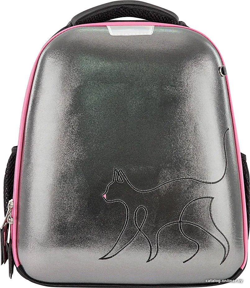 Школьный рюкзак Ecotope Kids 057-540/2-24-CLR