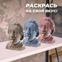 3Д-пазл QBRIX Эйнштейн