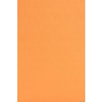 Рулонные шторы Lm Decor Лайт LM 30-03D 52x160