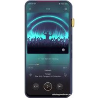 Hi-Fi плеер iBasso DX300 (темно-синий)