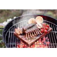 Соляной блок Electrolux E2SLT