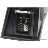 Корпусной активный сабвуфер ACV SBA-10L